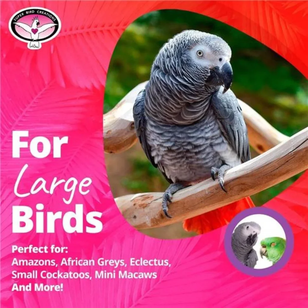 Bagel Cascade Bird Toy, Large Bird Size, Refillable Bagels, 15” x 4.5”